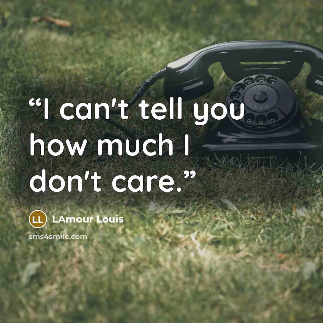 “I can't tell you how much I don't care.” quote by LAmour Louis