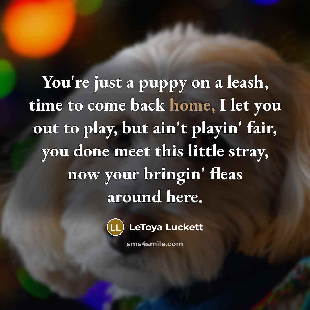 “You're just a puppy on a leash, time to come…” quote by Letoya Luckett