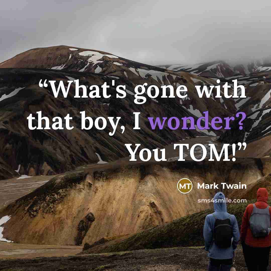 “What's gone with that boy, I wonder? You TOM!” quote by Mark Twain