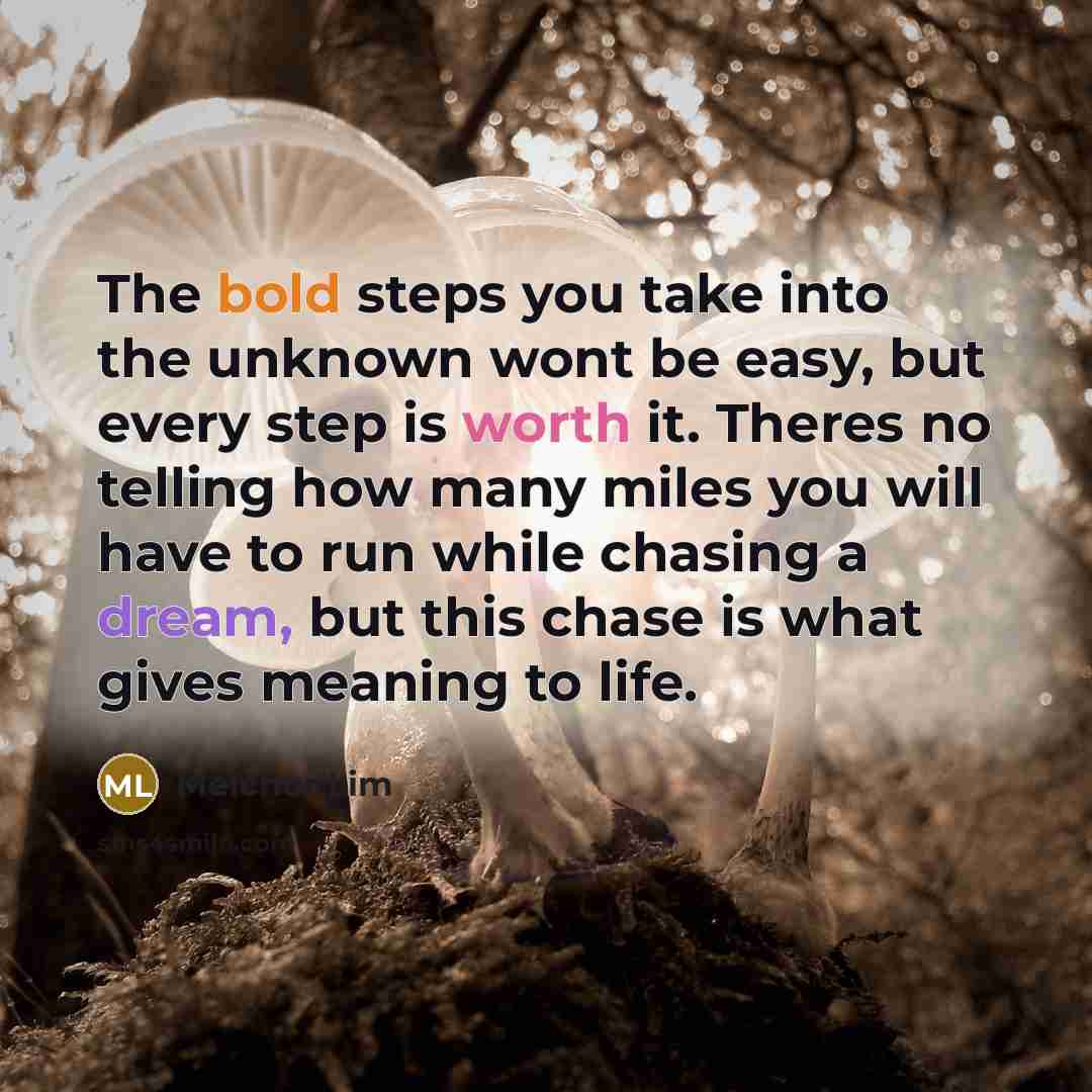 “The bold steps you take into the unknown wont be easy, but every step is worth it. Theres no telling how many miles you will have to run while chasing a dream, but this chase is what gives meaning to life.” quote by Melchor Lim