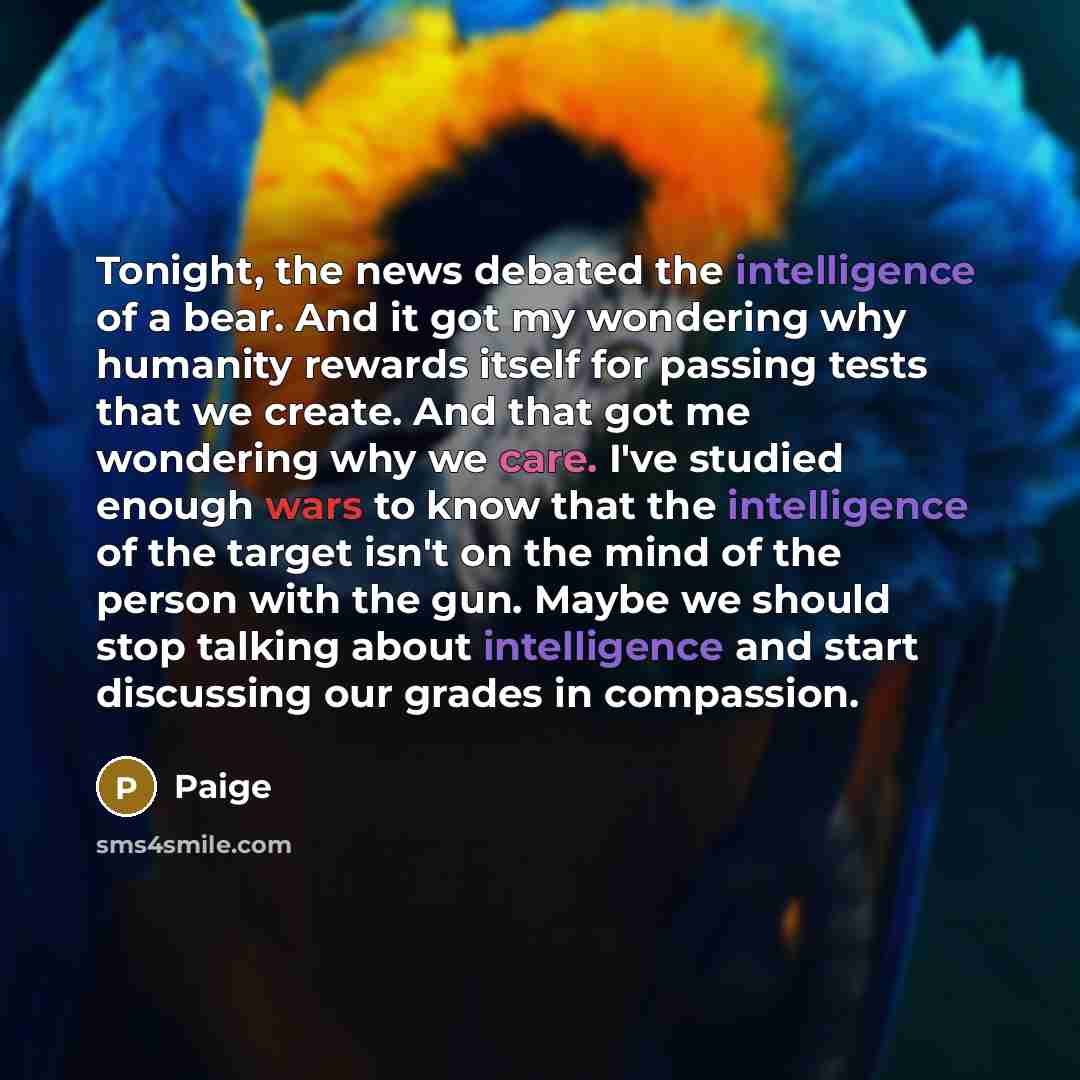 “Tonight, the news debated the intelligence of a bear. And…” quote by Paige