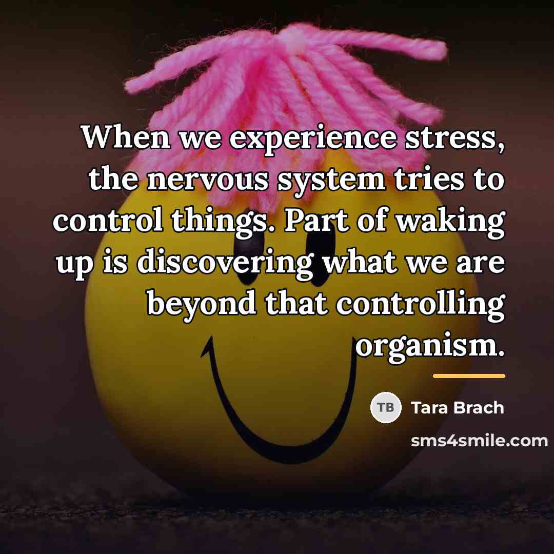 “When we experience stress, the nervous system tries to control…” quote by Tara Brach