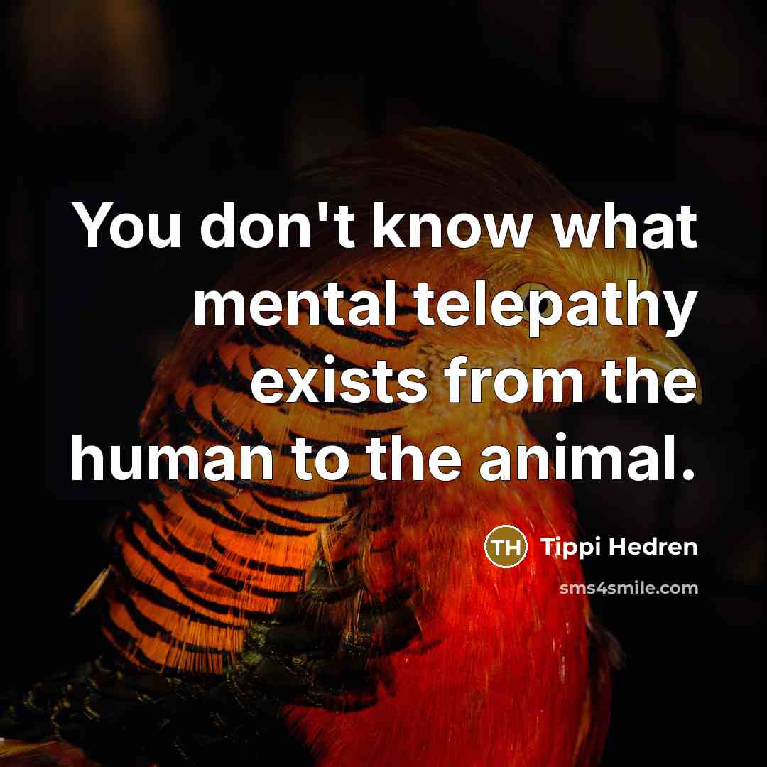 “You don't know what mental telepathy exists from the human…” quote by Tippi Hedren