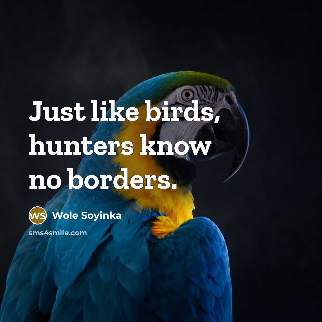 “Just like birds, hunters know no borders.…” quote by Wole Soyinka