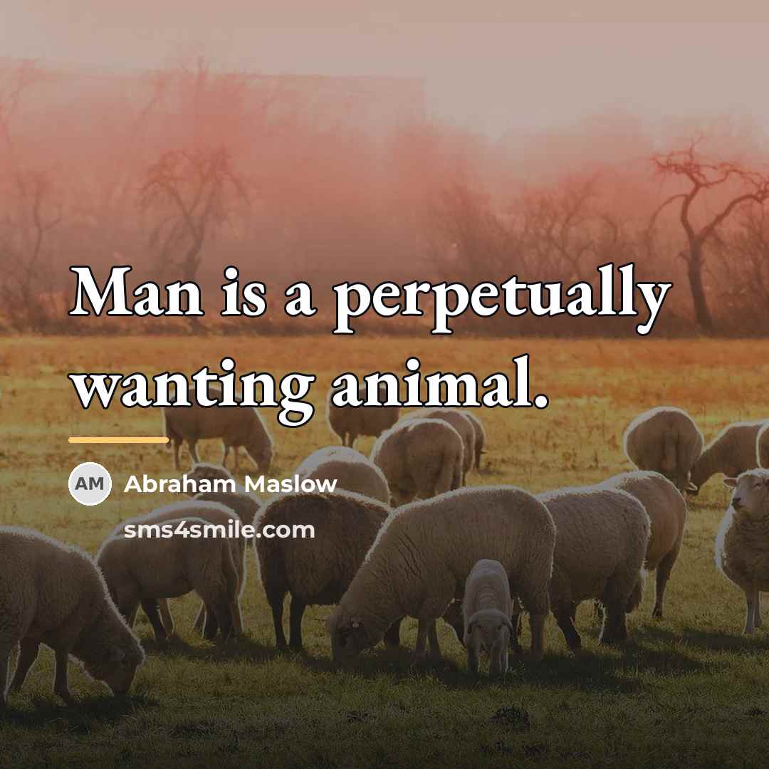 “Man is a perpetually wanting animal.…” quote by Abraham Maslow