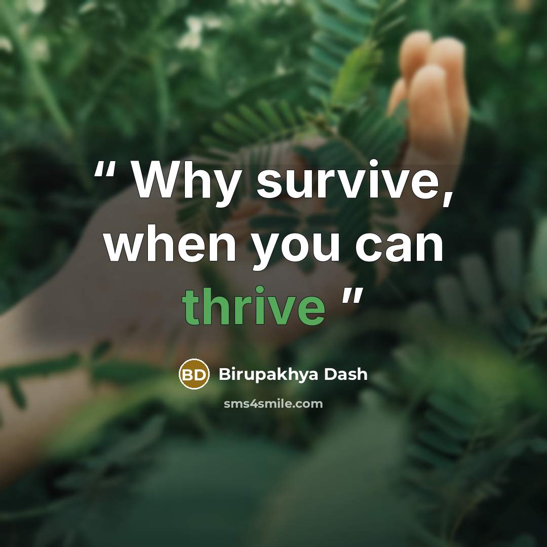“Why survive, when you can thrive” quote by Birupakhya Dash