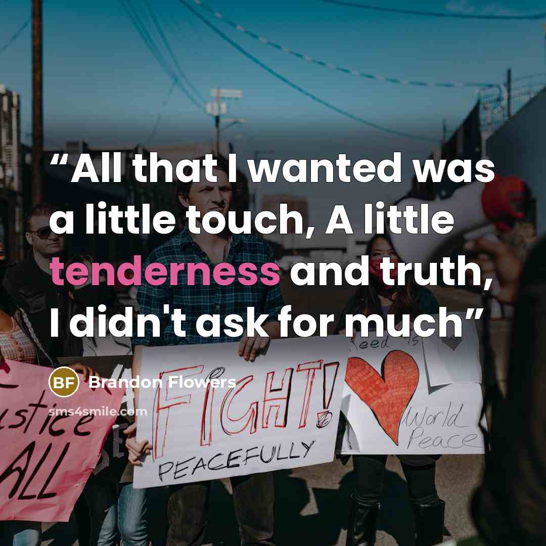 “All that I wanted was a little touch, A little tenderness and truth, I didn't ask for much” quote by Brandon Flowers