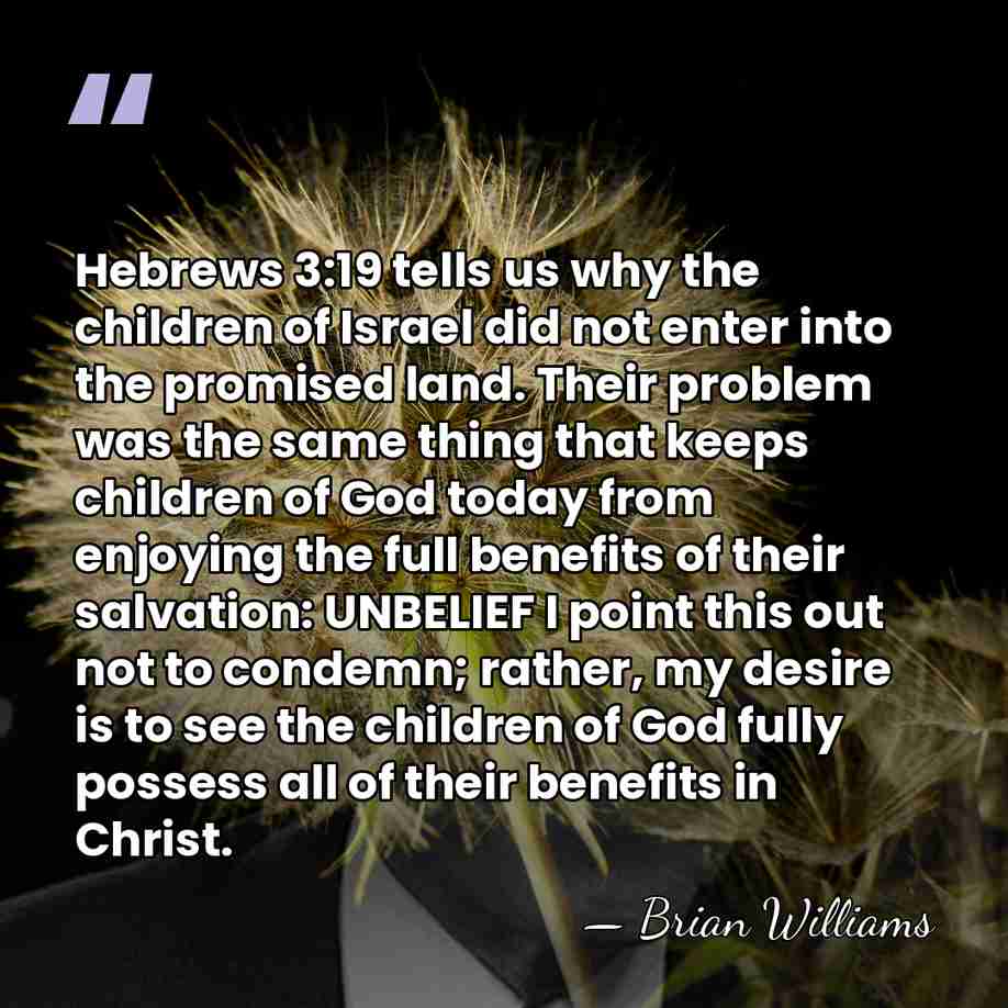 Hebrews 3:19 tells us why the children of Israel did not enter&hellip; - Brian Williams