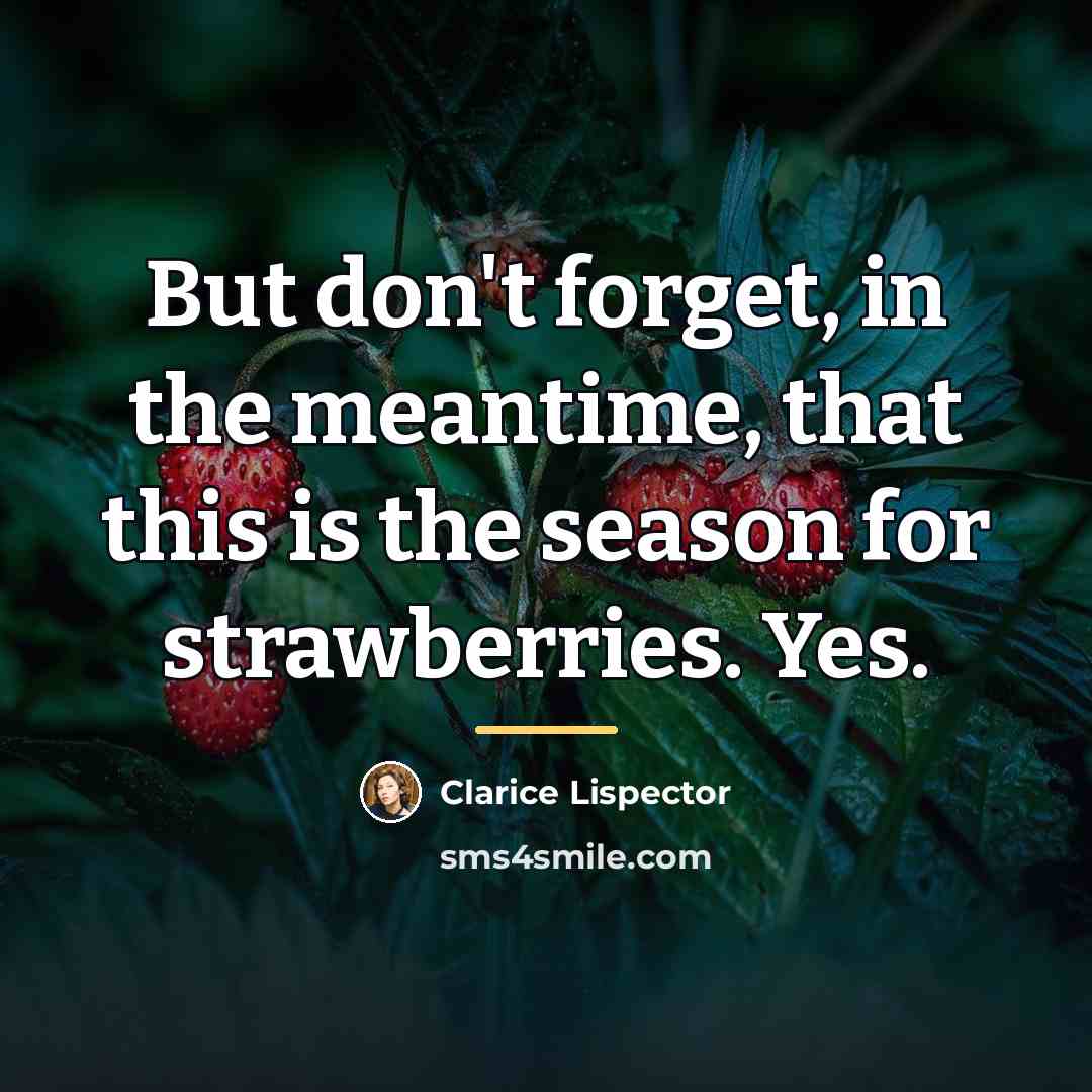 “But don't forget, in the meantime, that this is the…” quote by Clarice Lispector