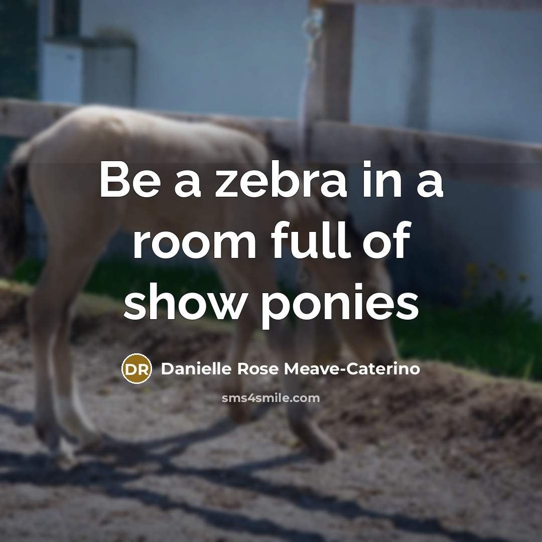 “Be a zebra in a room full of show ponies” quote by Danielle Rose Meave-Caterino
