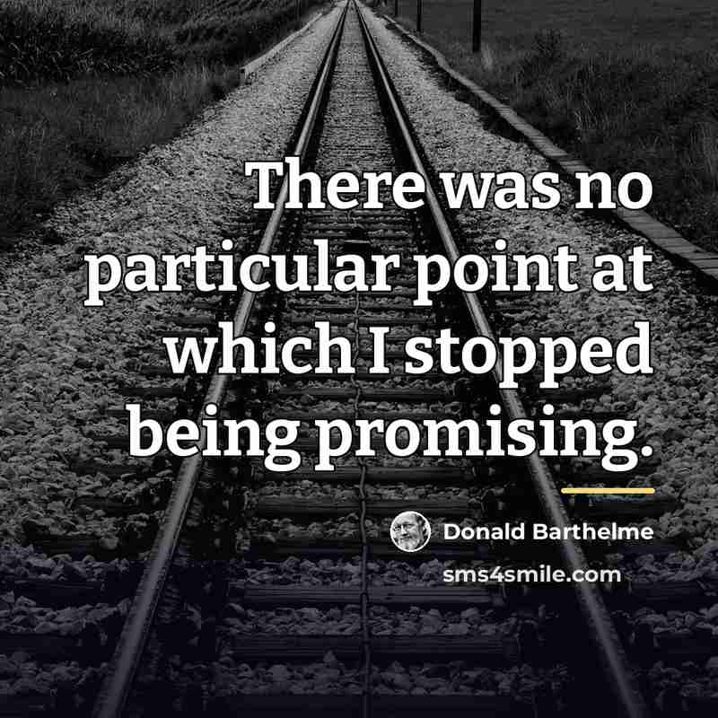 “There was no particular point at which I stopped being…” quote by Donald Barthelme