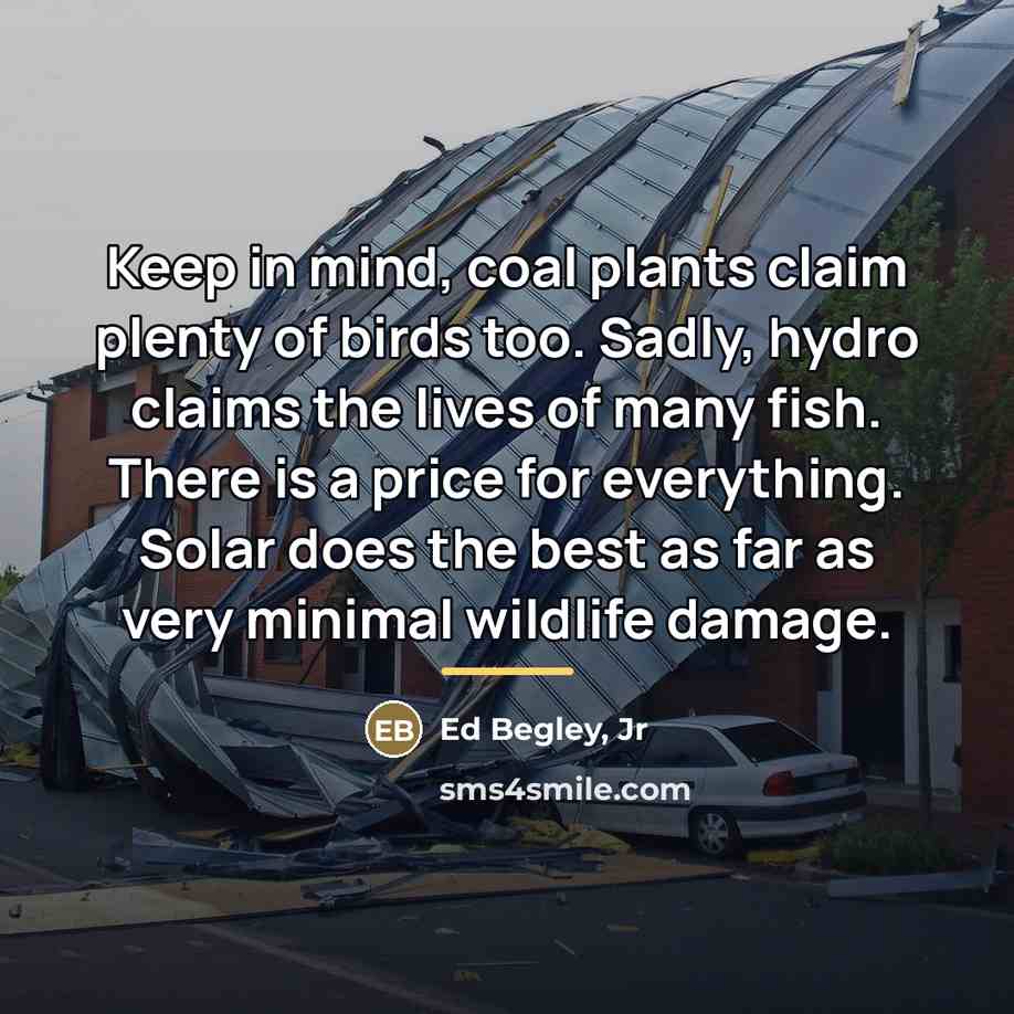 “Keep in mind, coal plants claim plenty of birds too.…” quote by Ed Begley, Jr