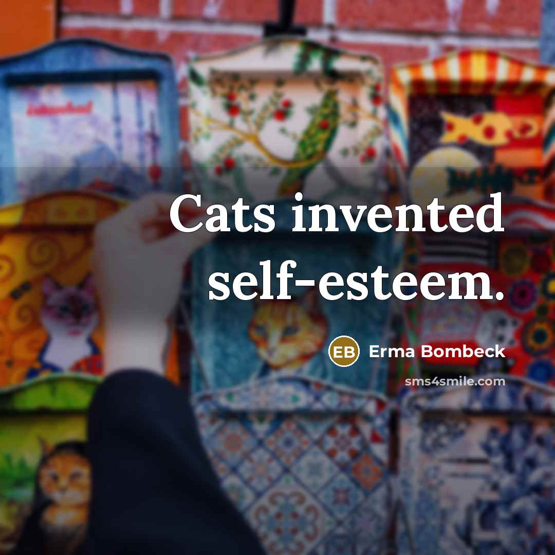 “Cats invented self-esteem.…” quote by Erma Bombeck