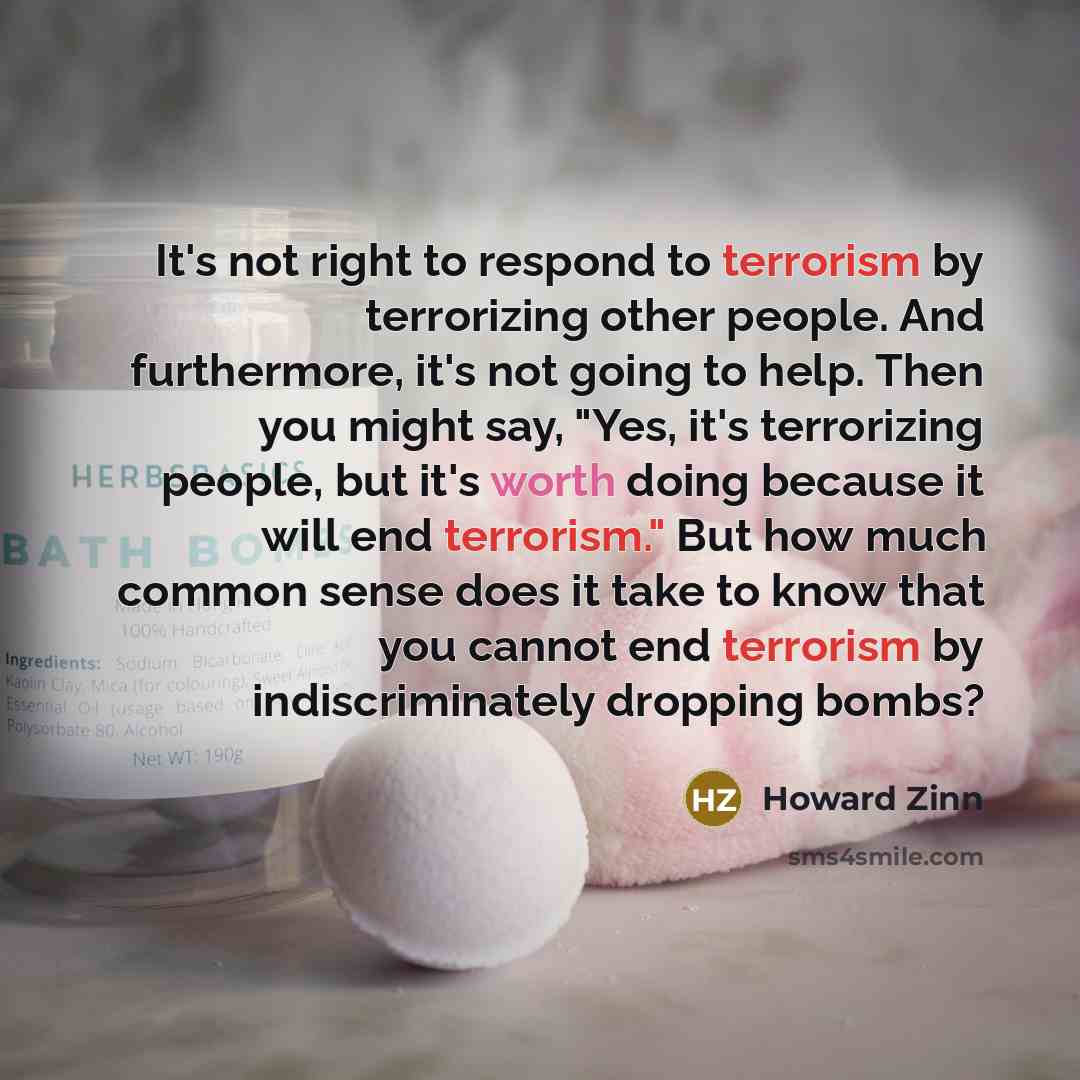 “It's not right to respond to terrorism by terrorizing other…” quote by Howard Zinn