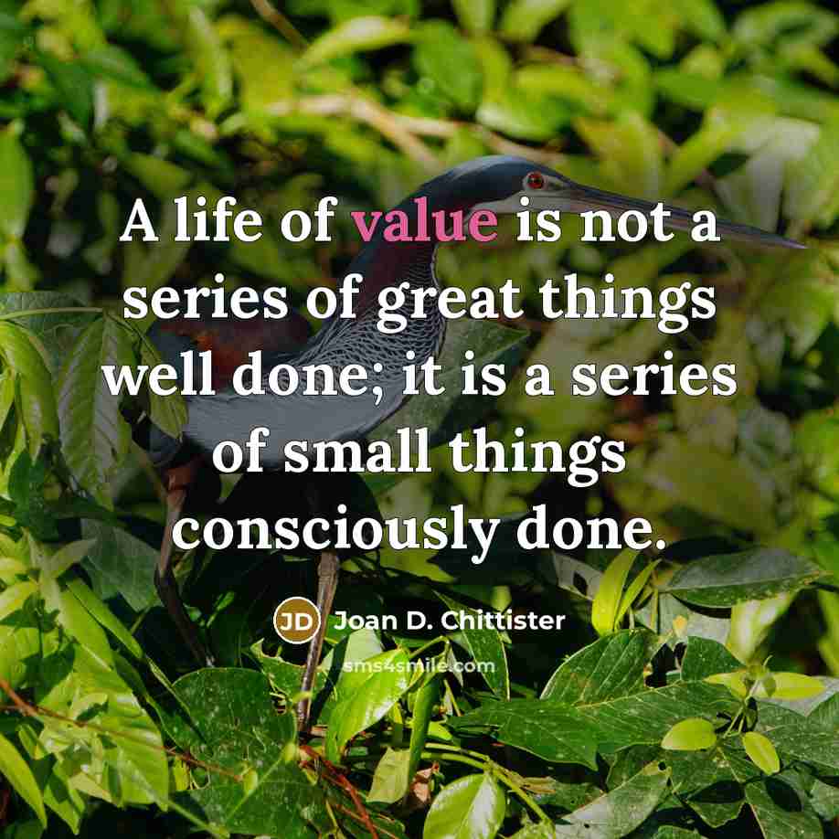 “A life of value is not a series of great…” quote by Joan D. Chittister