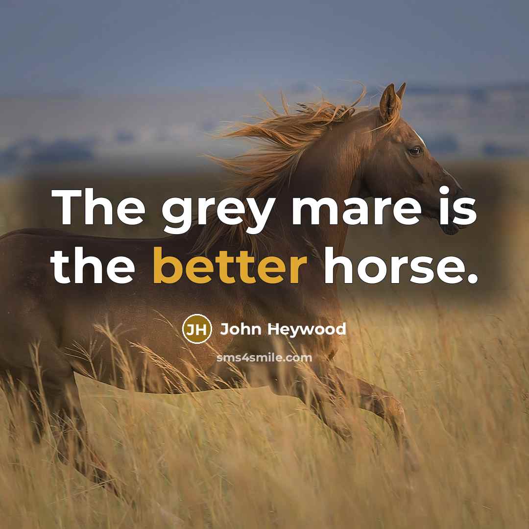 “The grey mare is the better horse.” quote by John Heywood