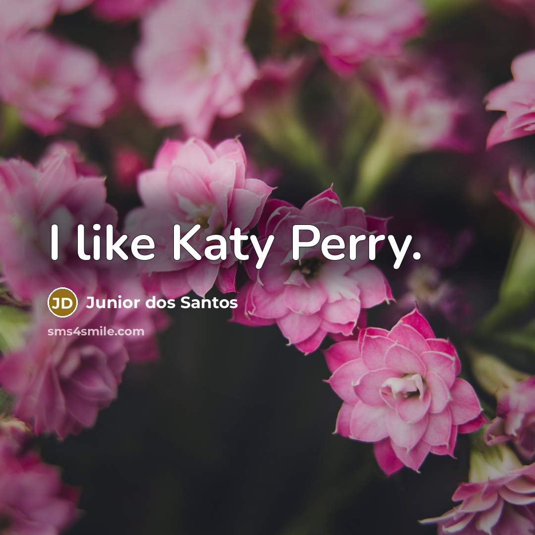 “I like Katy Perry.” quote by Junior dos Santos