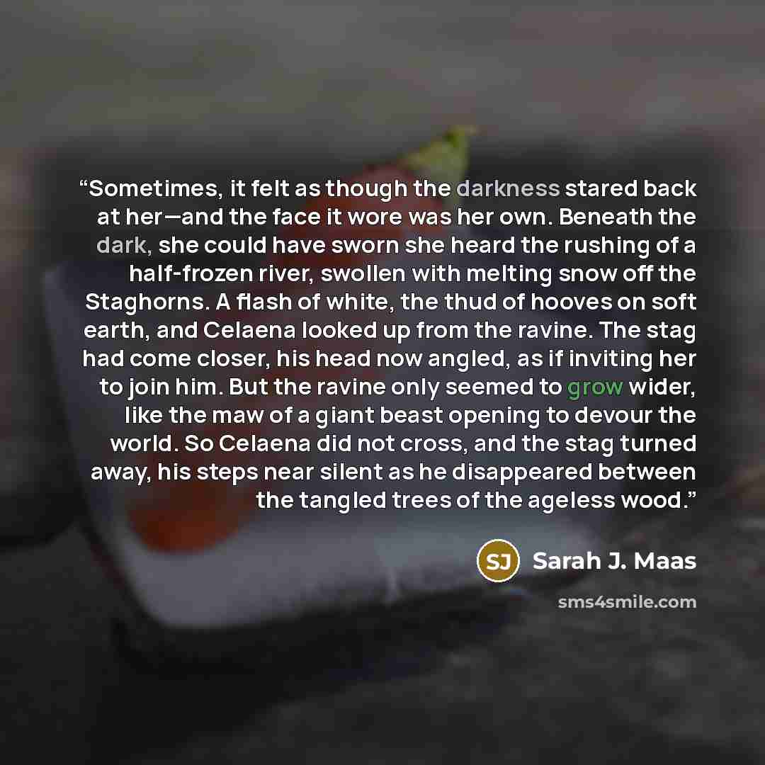 “Sometimes, it felt as though the darkness stared back at her—and the face it wore was her own. Beneath the dark, she could have sworn she heard the rushing of a half-frozen river, swollen with melting snow off the Staghorns. A flash of white, the thud of hooves on soft earth, and Celaena looked up…” quote by Sarah J. Maas
