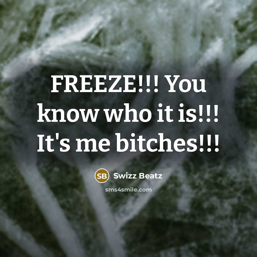 “FREEZE!!! You know who it is!!! It's me bitches!!!” quote by Swizz Beatz