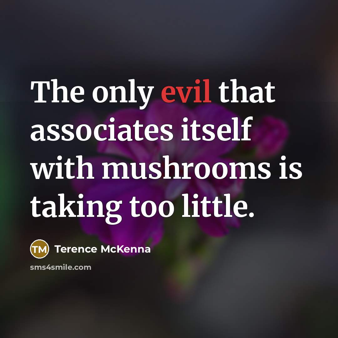 “The only evil that associates itself with mushrooms is taking…” quote by Terence McKenna