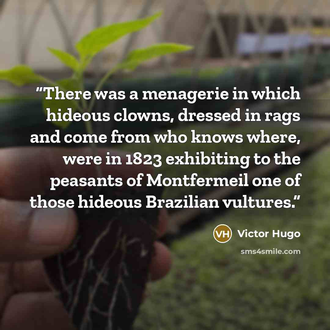 “There was a menagerie in which hideous clowns, dressed in rags and come from who knows where, were in 1823 exhibiting to the peasants of Montfermeil one of those hideous Brazilian vultures.” quote by Victor Hugo