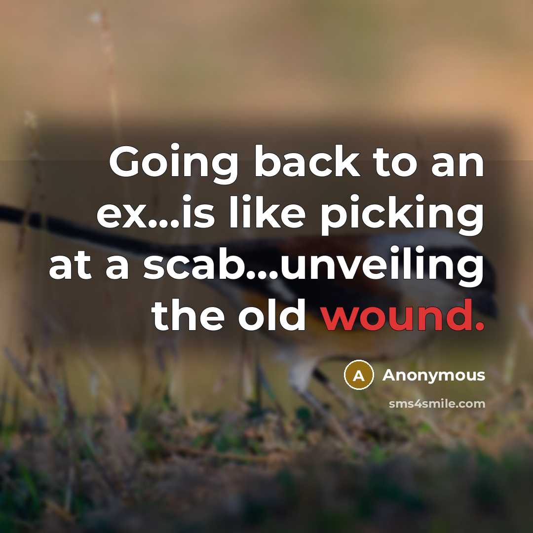 “Going back to an ex...is like picking at a scab...unveiling the old wound.” quote by Anonymous