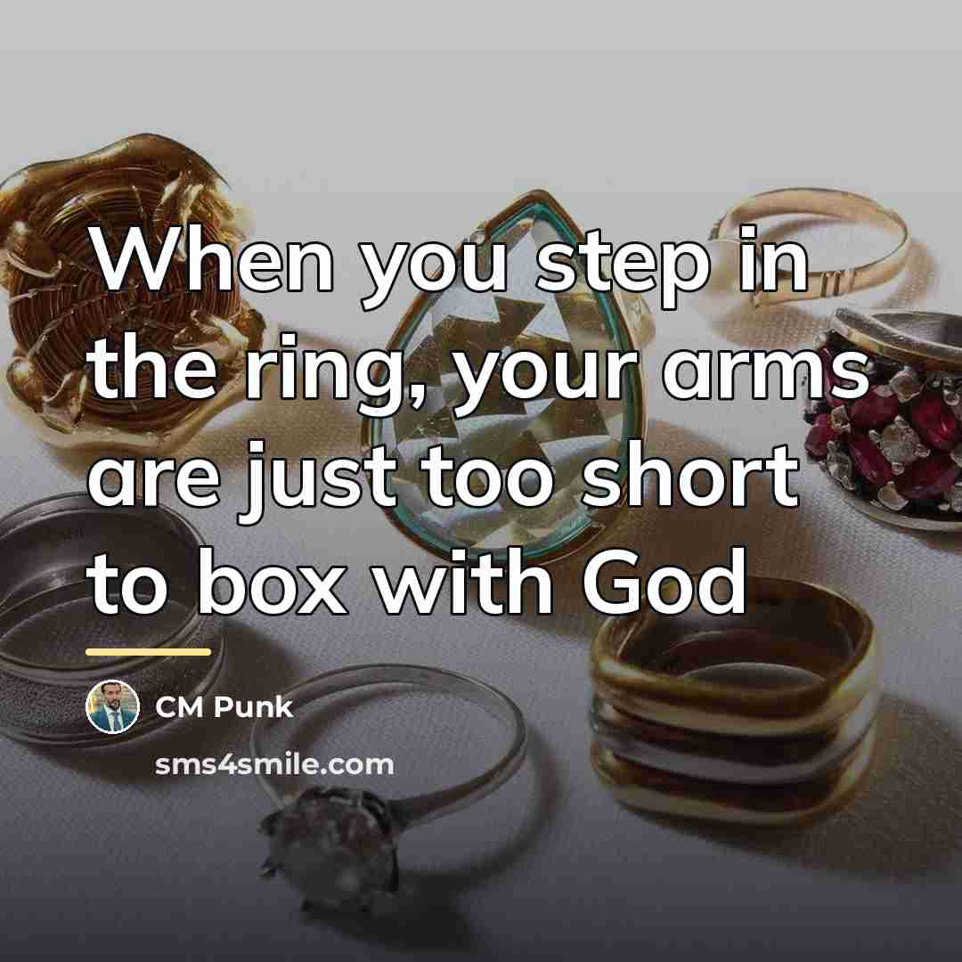 “When you step in the ring, your arms are just…” quote by CM Punk