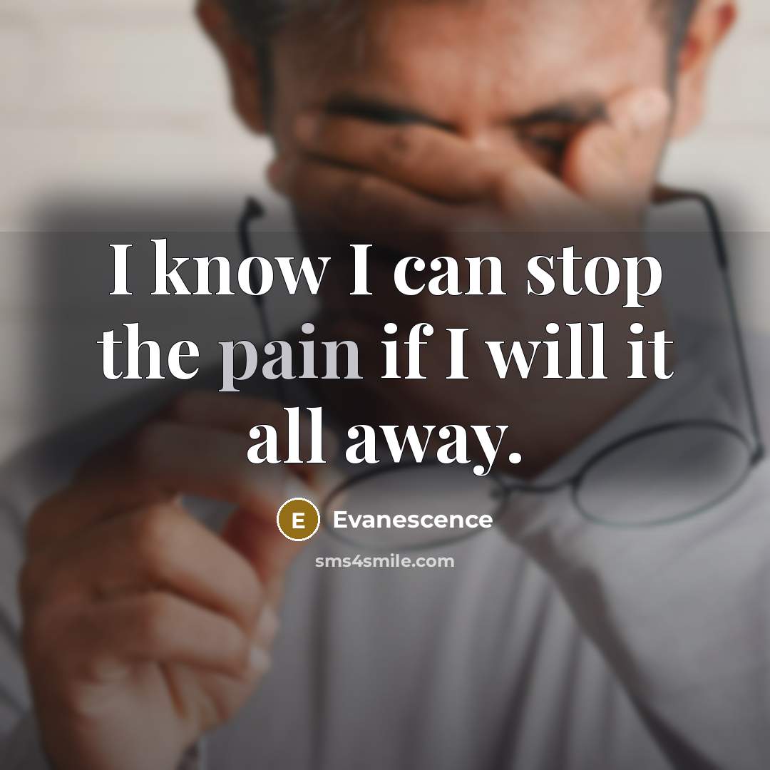“I know I can stop the pain if I will…” quote by Evanescence