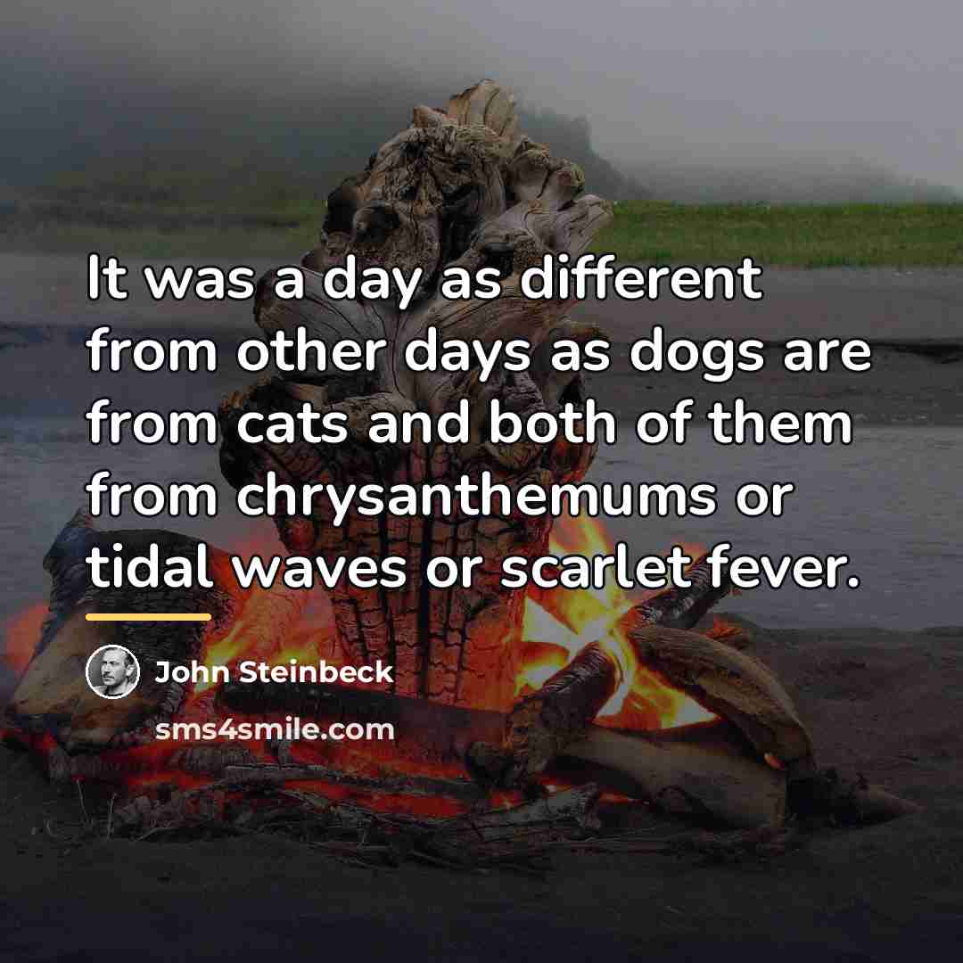 “It was a day as different from other days as…” quote by John Steinbeck