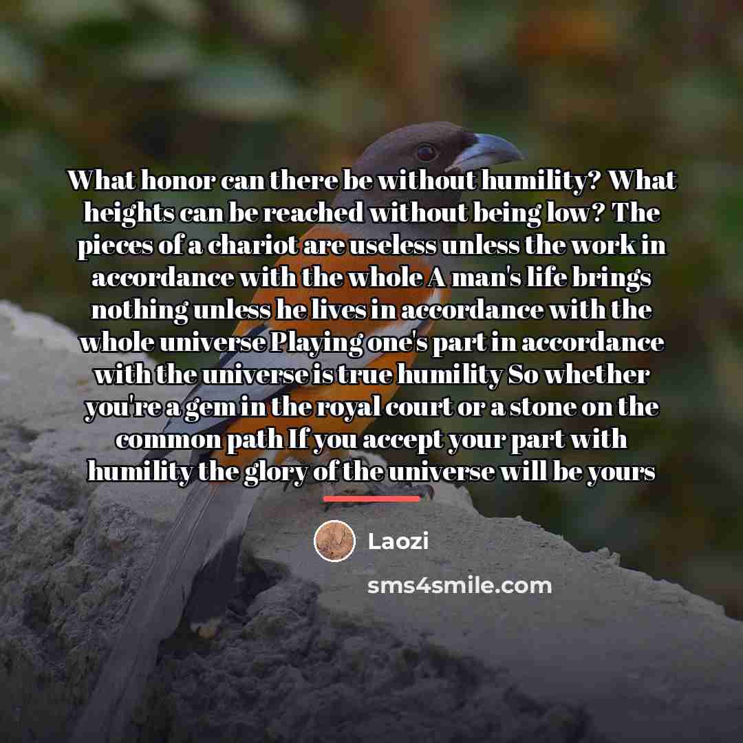 “What honor can there be without humility? What heights can…” quote by Laozi