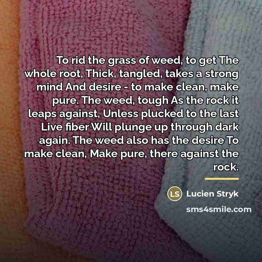 “To rid the grass of weed, to get The whole…” quote by Lucien Stryk