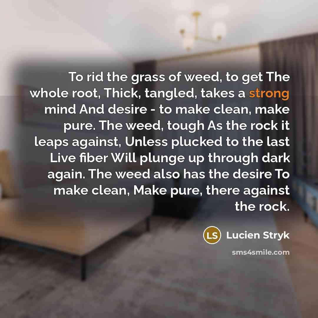 “To rid the grass of weed, to get The whole root, Thick, tangled, takes a strong mind And desire - to make clean, make pure. The weed, tough As the rock it leaps against, Unless plucked to the last Live fiber Will plunge up through dark again. The weed also has the desire To make clean, Make pure…” quote by Lucien Stryk