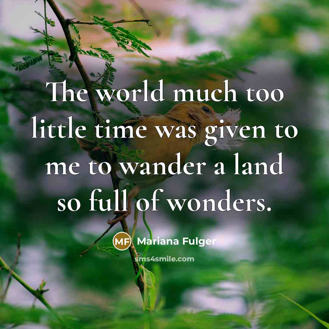 “The world much too little time was given to me…” quote by Mariana Fulger