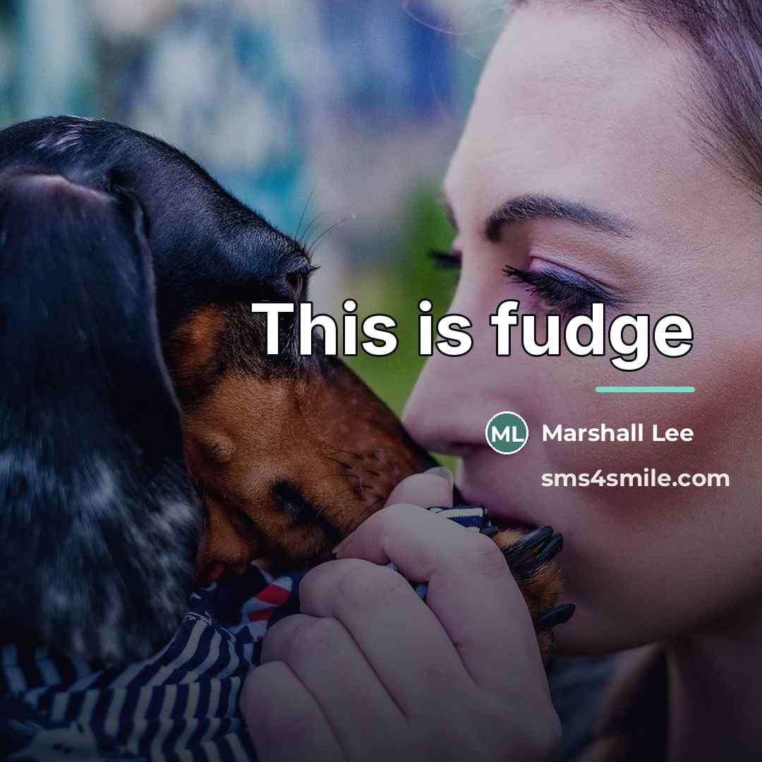 “This is fudge…” quote by Marshall Lee