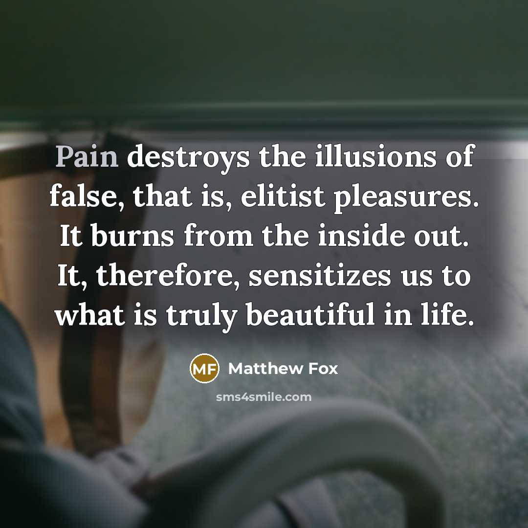 “Pain destroys the illusions of false, that is, elitist pleasures.…” quote by Matthew Fox