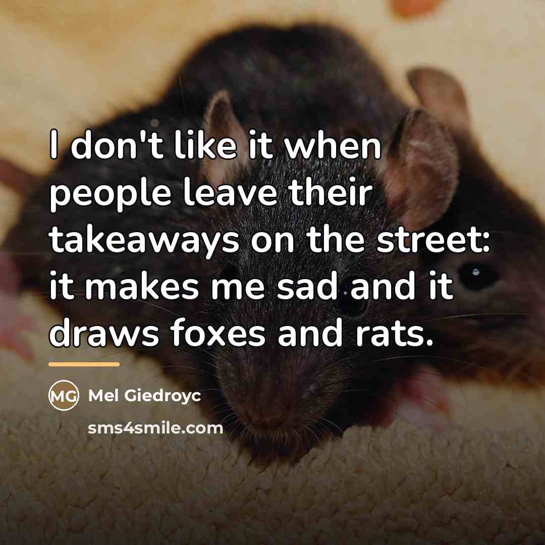 “I don't like it when people leave their takeaways on…” quote by Mel Giedroyc