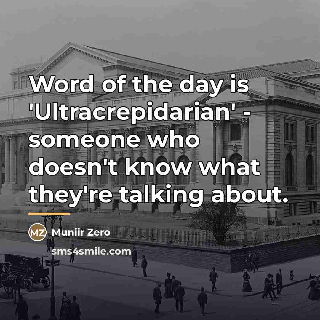 “Word of the day is 'Ultracrepidarian' - someone who doesn't…” quote by Muniir Zero