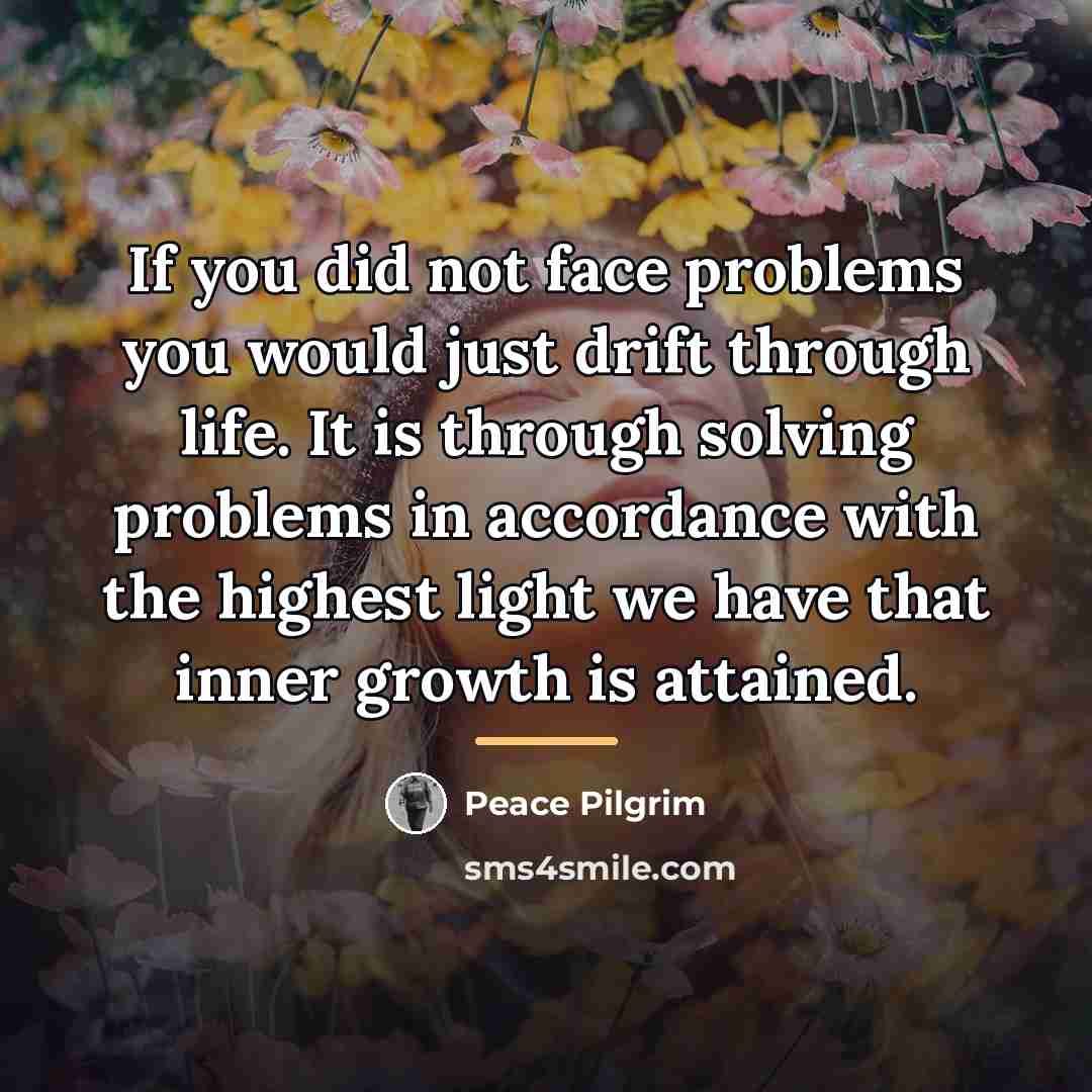 “If you did not face problems you would just drift…” quote by Peace Pilgrim