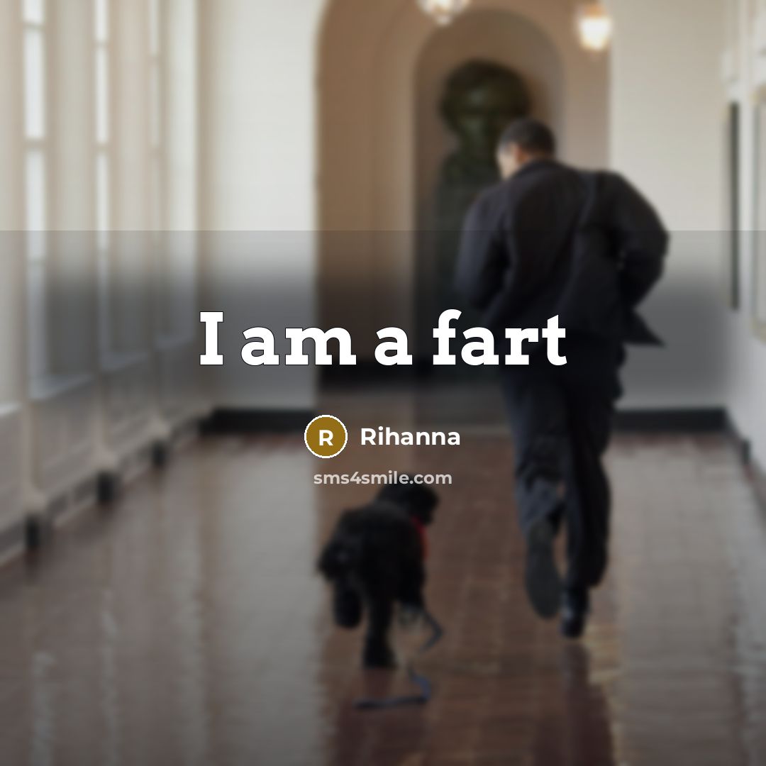 “I am a fart” quote by Rihanna