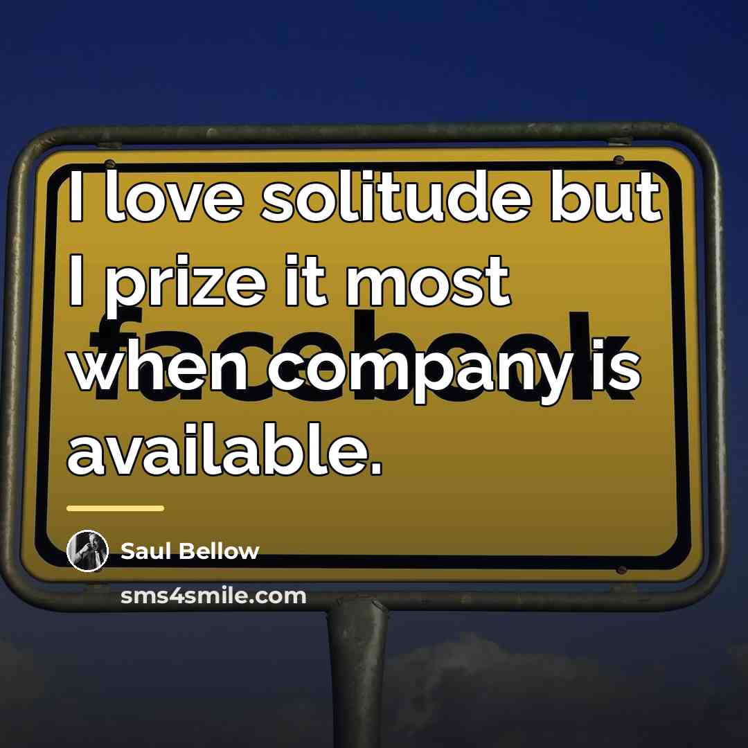 “I love solitude but I prize it most when company…” quote by Saul Bellow
