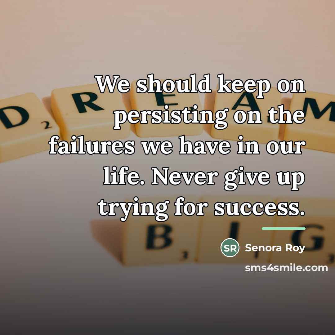 “We should keep on persisting on the failures we have…” quote by Senora Roy