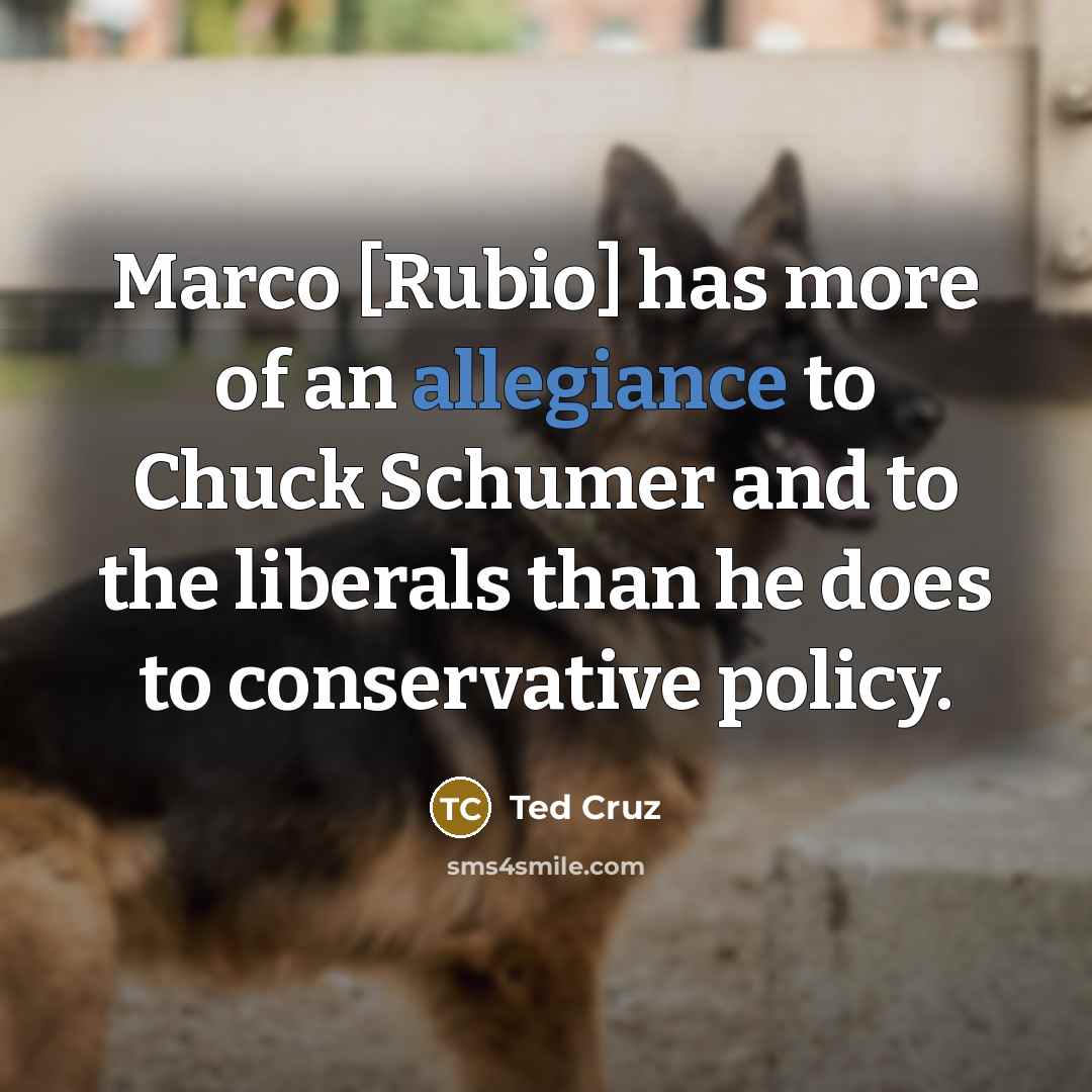 “Marco [Rubio] has more of an allegiance to Chuck Schumer…” quote by Ted Cruz