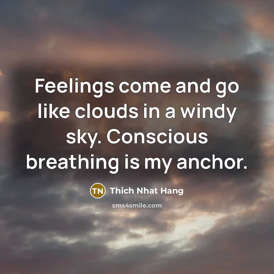 “Feelings come and go like clouds in a windy sky. Conscious breathing is my anchor.” quote by Thich Nhat Hang