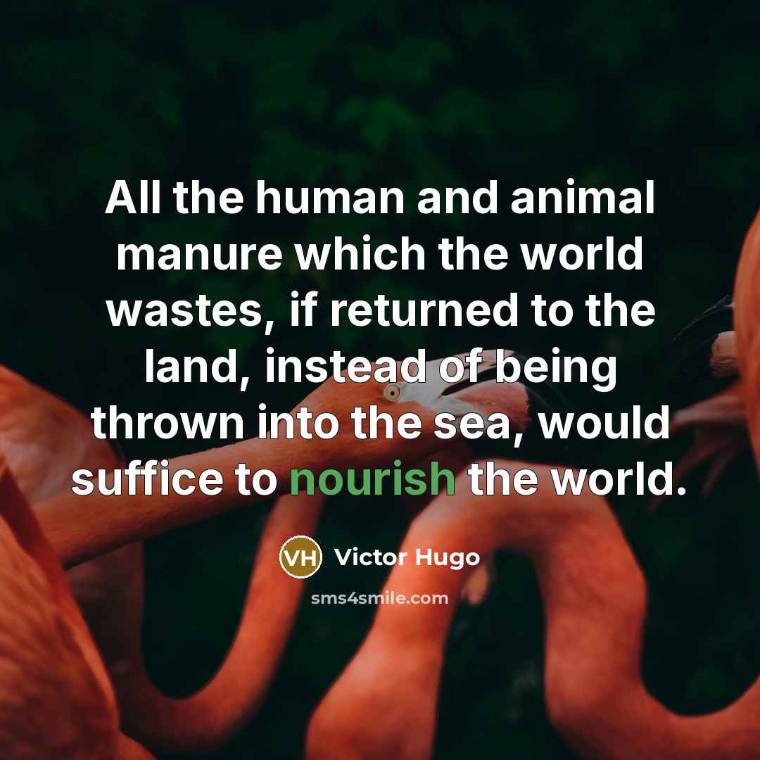 “All the human and animal manure which the world wastes,…” quote by Victor Hugo