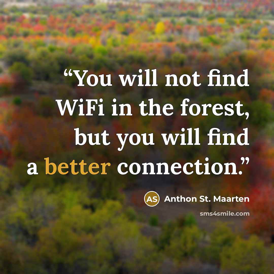 “You will not find WiFi in the forest, but you will find a better connection.” quote by Anthon St. Maarten