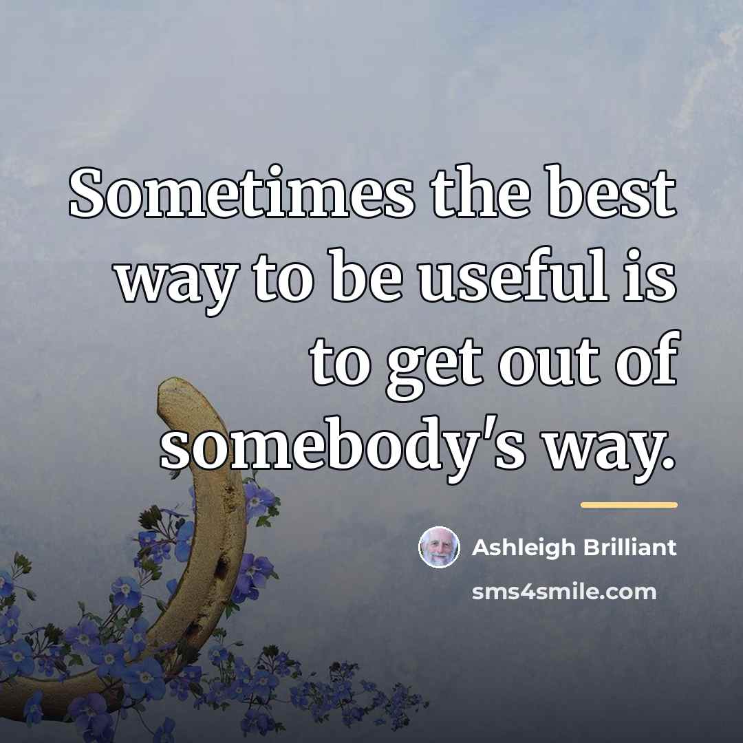 “Sometimes the best way to be useful is to get…” quote by Ashleigh Brilliant