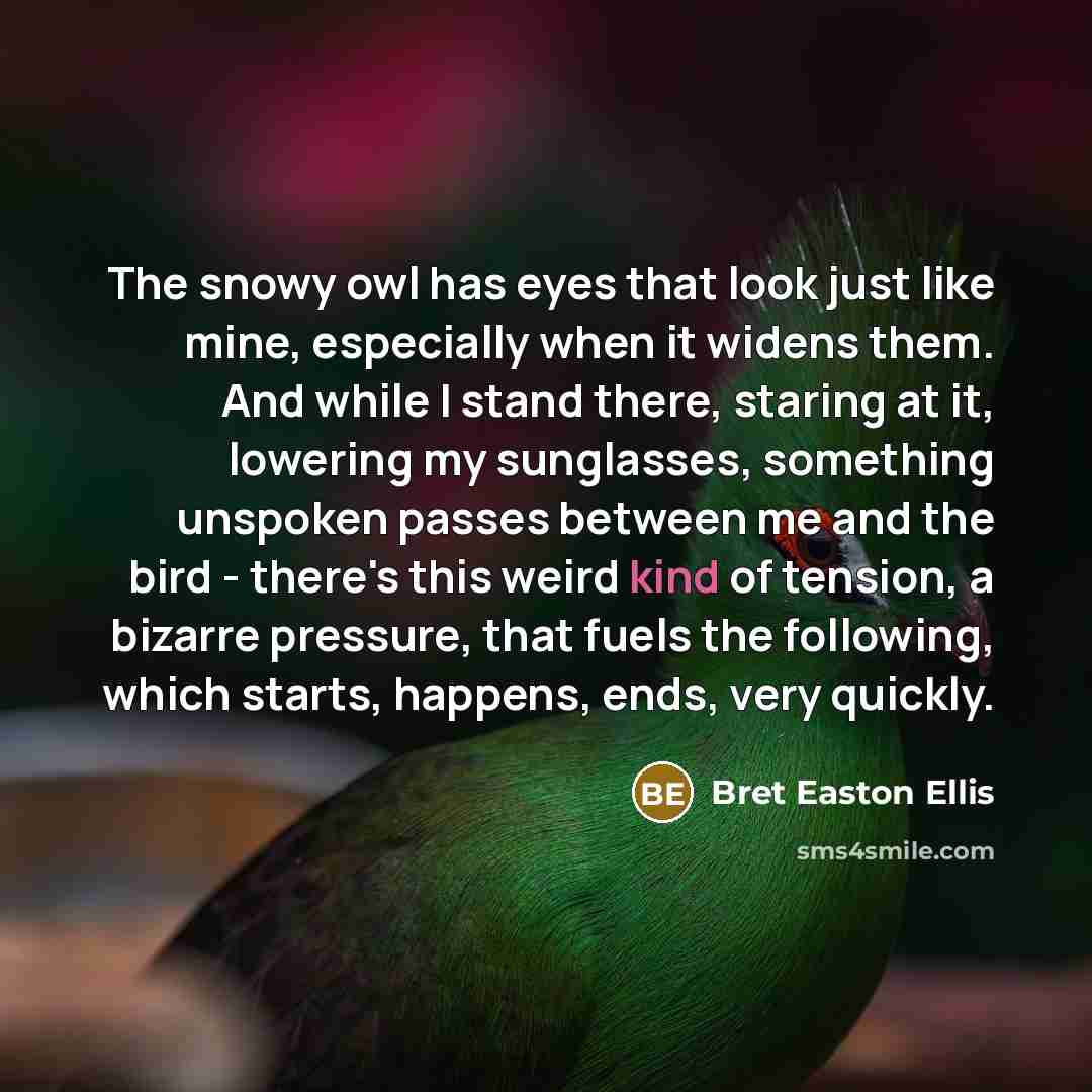 “The snowy owl has eyes that look just like mine,…” quote by Bret Easton Ellis