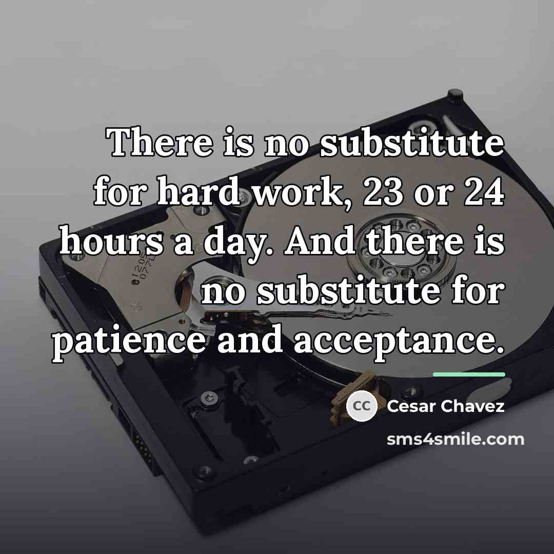 “There is no substitute for hard work, 23 or 24…” quote by Cesar Chavez