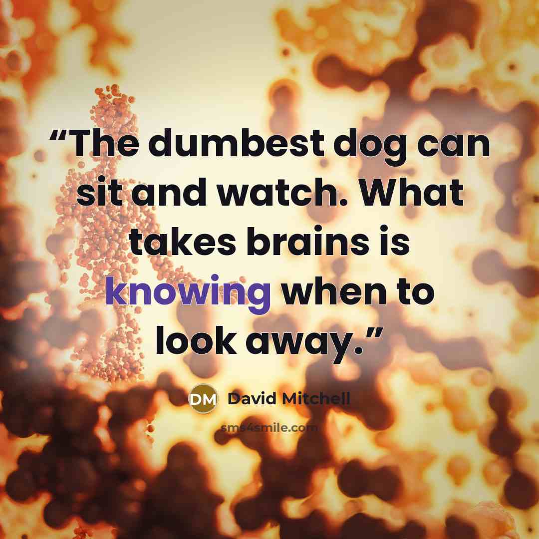 “The dumbest dog can sit and watch. What takes brains is knowing when to look away.” quote by David Mitchell