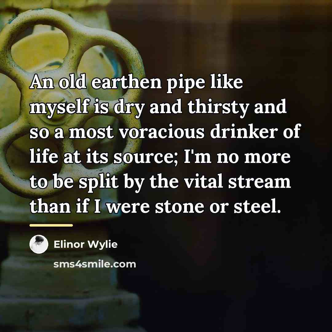 “An old earthen pipe like myself is dry and thirsty…” quote by Elinor Wylie